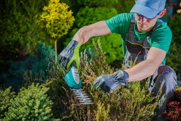 landscaping services Cuyahoga Heights